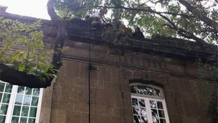 Frustran suicidio de una mujer en la colonia Roma
