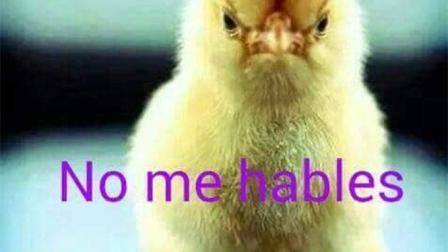 (Foto tomada de Twitter)