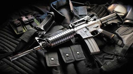 El fusil fue comprado en julio de 2010 con un intermediario desconocido