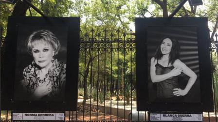 La exposición fotográfica "La Mejor Actriz" estará en las rejas del Bosque de Chapultepec hasta el 19 de junio. Foto: Gobierno de la Ciudad de México.