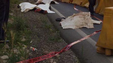 El suceso fue alertado por automovilistas. Foto: Especial 