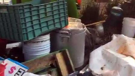 El vehículo que era conducido a exceso de velocidad fue impactado contra los puestos de comida. Foto: Especial