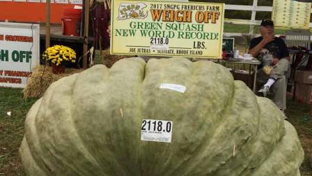 En esta foto del 7 de octubre del 2017, proveída por Susan Jutras, se ve a Joe Sutras con su calabacín de 960 kilos, nuevo récord mundial, tras el pesaje en la Granja Frerichs, Rhode Island.