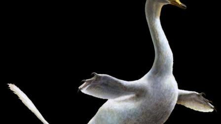 Este dibujo proporcionado por Lukas Panzarin, con Andrea Cau para supervisión científica, muestra al dinosaurio Halszkaraptor escuilliei. (Foto: AP)
