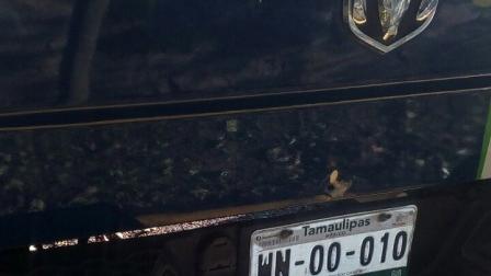 En las inmediaciones se localizó una camioneta modelo Durango año 2004, en la que se presume viajaban los agresores – Foto: Especial