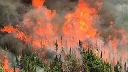 Incendio forestal, Seguridad, Calor, Clima, Cambio climático, Medio ambiente, Estados, Seguridad, Protección Civil