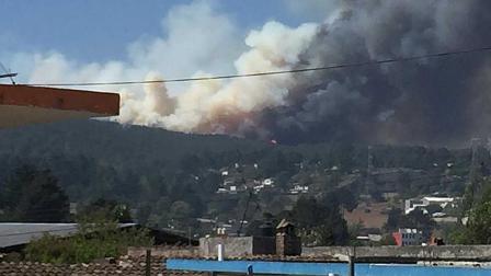 Incendio forestal, Seguridad, Calor, Clima, Cambio climático, Medio ambiente, Estados, Seguridad, Protección Civil