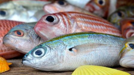 ¿Cómo identificar un pescado en mal estado? Cortesía: iStock