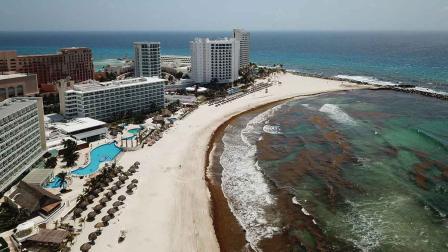 sargazo, Caribe mexicano, alga, cambio climático, economía, turismo, Quintana Roo
