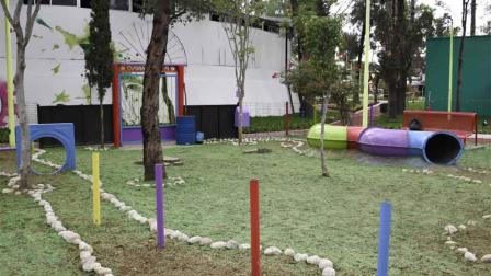 Abrirán 4 paseos para perritos en parques de V. Carranza