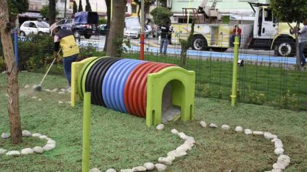 Abrirán 4 paseos para perritos en parques de V. Carranza
