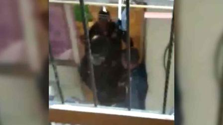 Policías irrumpen en vecindad; hieren a tres vecinos y matan a perro