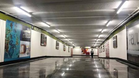 Arte llega a Metro Hidalgo 
