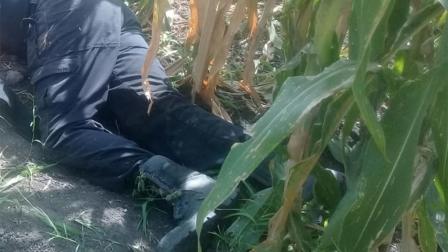 Los custodios carcelarios se dirigían a Pueblo Nuevo. Dos de ellos iban en la parte delantera de la camioneta y el resto atrás. Aparentemente no trasladaban prisioneros. Foto: Especial