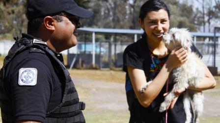 Brigada de Vigilancia Animal, SSC, Seguridad, Justicia, Animales, Maltrato animal, Animales en peligro de extinción, Alcaldías, Denuncias, Policías, Adopción, Rescate