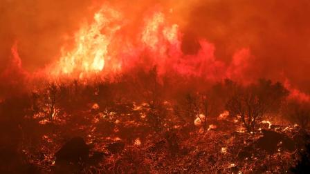 Desalojan a miles en California por nuevo incendio forestal