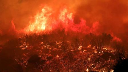 Desalojan a miles en California por nuevo incendio forestal
