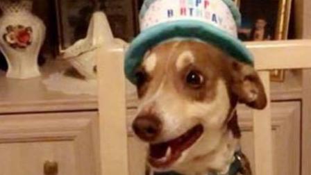 Claro que hubo sombrero de cumpleañero.