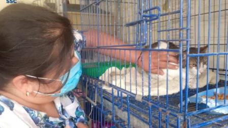 Después de 33 días rescatan a gatita 'Bombón' de edificio desalojado