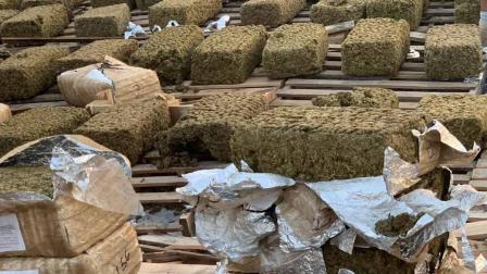 El evento de destrucción se llevó a cabo en instalaciones militares del municipio de Escobedo, ante la presencia del representante del Órgano Interno de Control de la FGR. Foto: Especial