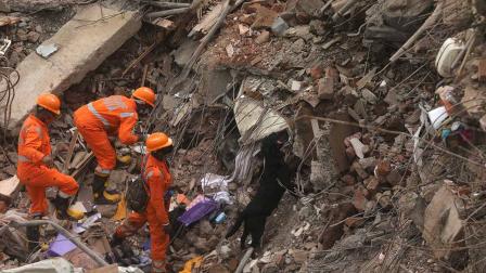 Derrumbe de edificio en India deja al menos 11 muertos
