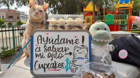 El gatito y su dueña realizan la venta de cupcakes en el Parque María Luisa, colonia Industrial, alcaldía Gustavo A. Madero. Foto: Facebok / Animalitos En Apuros