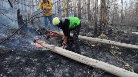 Controlan incendio en Bosque de Tlalpan