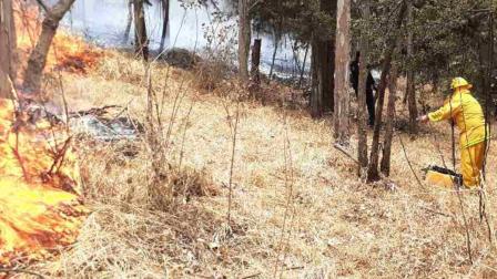 Controlan incendio en Bosque de Tlalpan