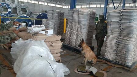 Elementos de la Semar y la Administración General de Aduanas, decomisaron un cargamento de mariguana que estaba oculta en 432 respaldos de asientos automotrices de cuero de res.