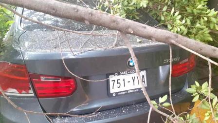 Árbol cae sobre vehículo que circulaba en Xochimilco