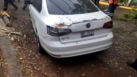 Árbol cae sobre vehículo que circulaba en Xochimilco