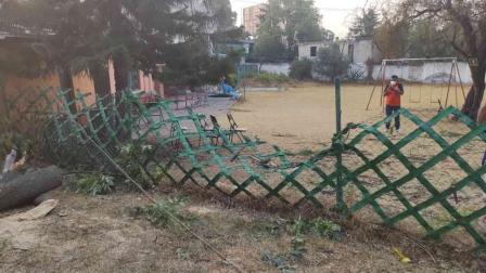 Cae rama de árbol y lesiona a 7 que estaban en convivio