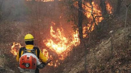 Incendio, Incendio forestal, Seguridad, Protección Civil, Fuego, Llamas, Bomberos, Afectaciones, Estado, Evacuados, Gobierno