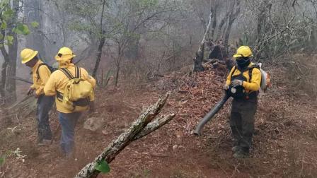Incendio, Incendio forestal, Seguridad, Protección Civil, Fuego, Llamas, Bomberos, Afectaciones, Estado, Evacuados, Gobierno