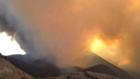 Incendio, Incendio forestal, Seguridad, Protección Civil, Fuego, Llamas, Bomberos, Afectaciones, Estado, Evacuados, Gobierno
