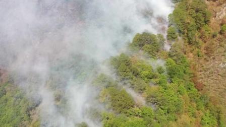 Incendio, Incendio forestal, Seguridad, Protección Civil, Fuego, Llamas, Bomberos, Afectaciones, Estado, Evacuados, Gobierno