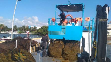 Se continúa realizando sobrevuelos para monitorear la macroalga, así como el despliegue operativo de 29 embarcaciones, entre las que destacan 11 sargaceras, un buque sargacero oceánico y cuatro barredoras / Cuartoscuro