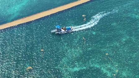 Más de 300 elementos navales apoyan en la recolección del sargazo en las diferentes playas afectadas de los municipios de Isla Mujeres, Benito Juárez, Puerto Morelos, Cozumel, Solidaridad, Tulum y Othón P. Blanco, con la colocación de más de nueve mil trescientos metros de barrera de contención / Cuartoscuro