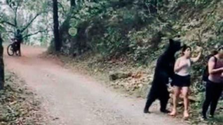 NUEVO LEÓN. La Procuraduría Federal de Protección al Ambiente (Profepa) determinó que la castración realizada al "oso amigable" fue errónea.