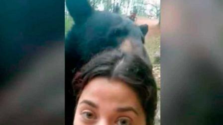 Presuntamente, la orden de castrar al animal se dio ya que en el área donde será liberado existe una subespecie distinta de este oso y si se llega a reproducir las crías podrían salir con malformaciones. La legisladora puntualizó, que en México existen siete puntos en donde existe esta misma especie de oso, donde puede ser liberado.