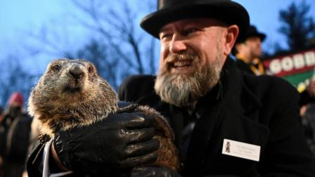 Miles de personas aguardaron el pronóstico del Día de la Marmota en Pensilvania. (AFP)
