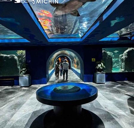 ¿Cuánto cuesta entrar al Acuario Michin en vacaciones? Te decimos si ...
