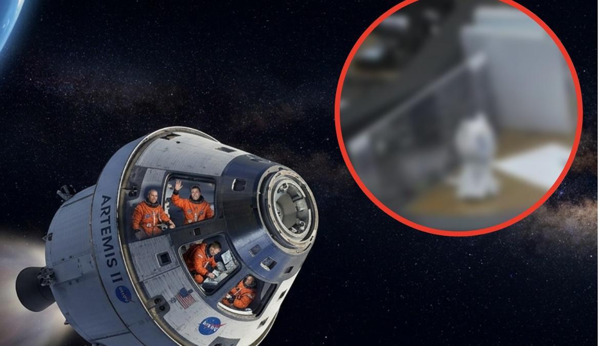 <![CDATA[NASA en vivo: icónico personaje de Sailor Moon roba cámara durante misión Artemis II]]>