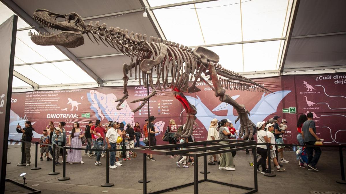 <![CDATA[Zócalo se convertirá en gran ludoteca por Día del Niño]]>