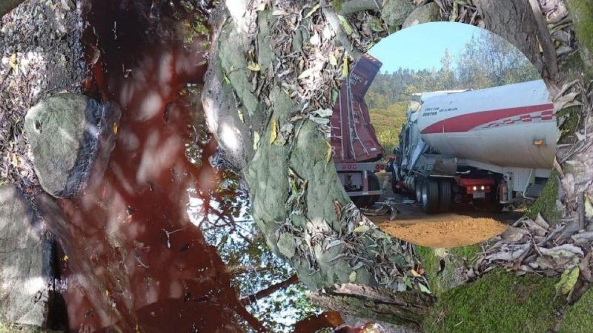 <![CDATA[Derrame de combustible contamina manantial en comunidad de Huixquilucan]]>