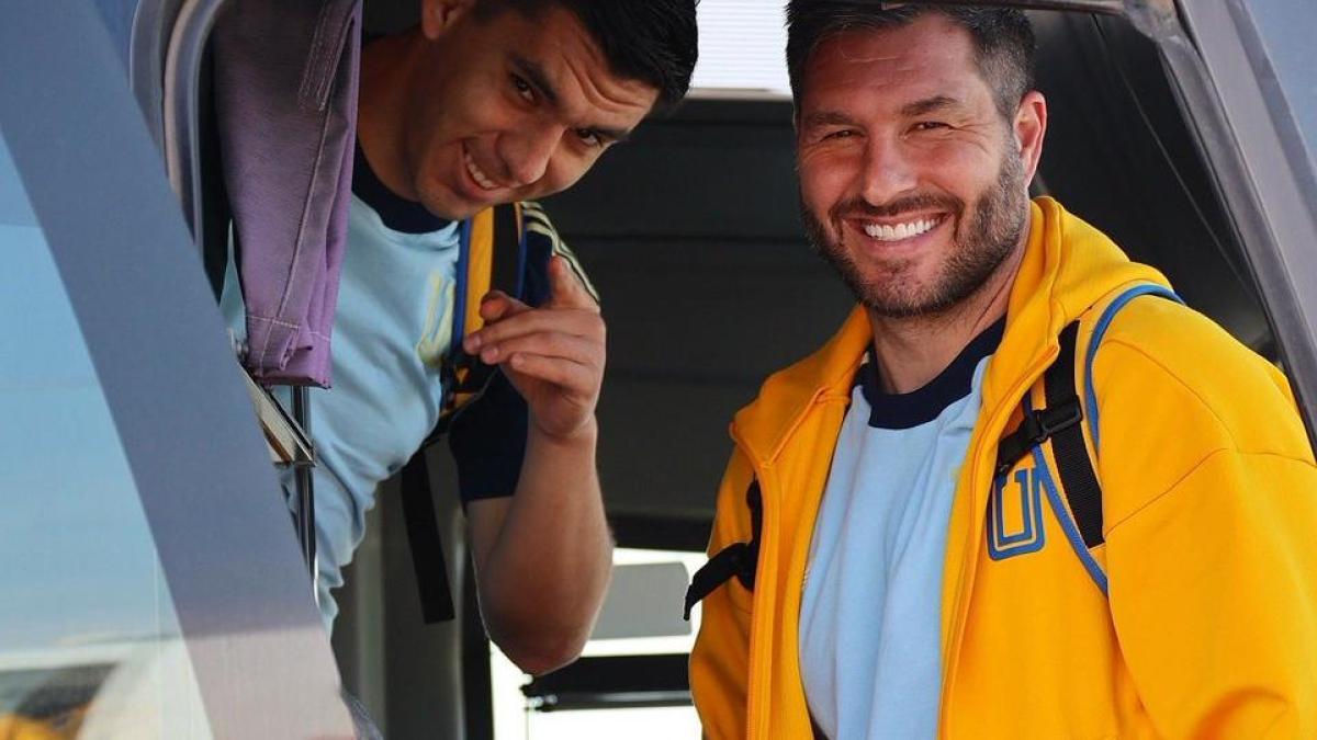 <![CDATA[Los Tigres preparan la fiesta de despedida de Gignac]]>