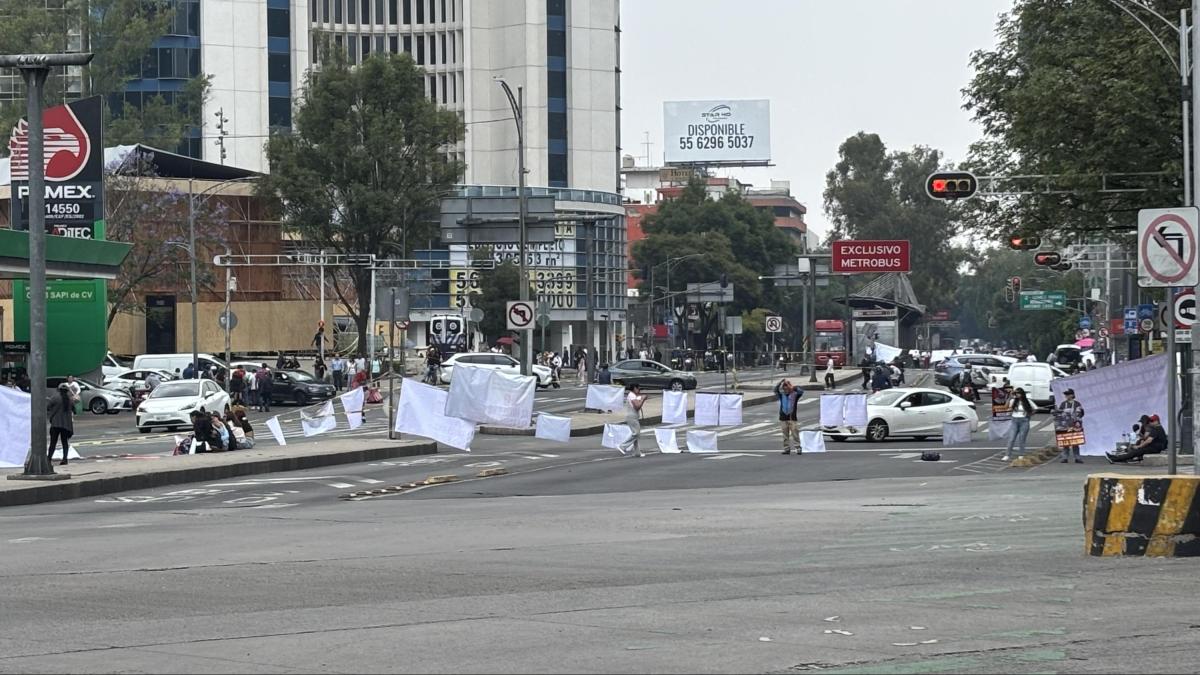<![CDATA[Animalistas provocan caos en Insurgentes y Reforma ¿qué piden?]]>