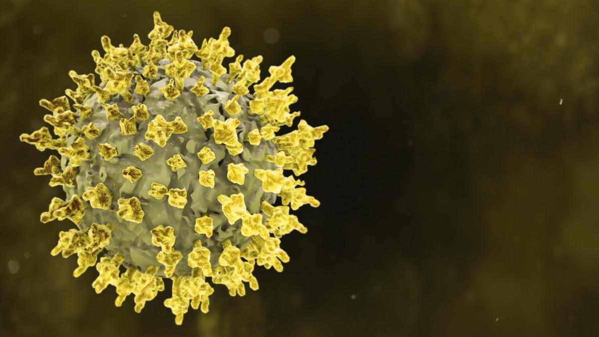 <![CDATA[Israel confirma su primer caso de hantavirus en medio de alerta internacional]]>