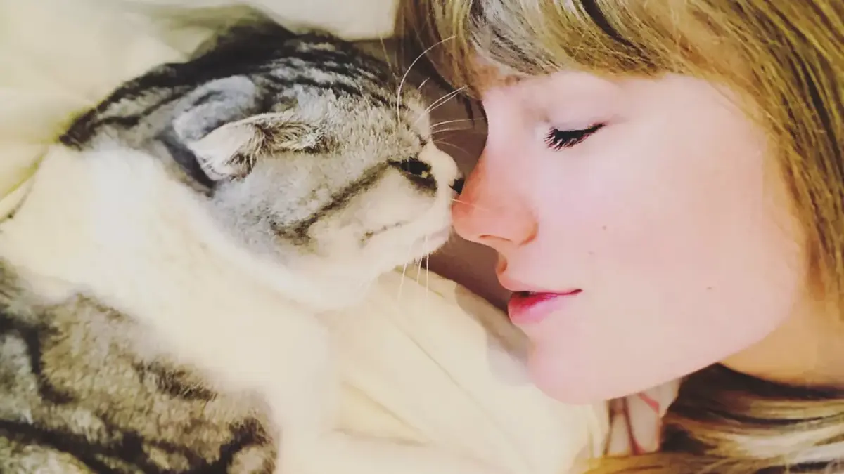 <![CDATA[¡El karma es...! Taylor Swift registra como marca a sus gatos: Meredith, Olivia y Benjamin]]>
