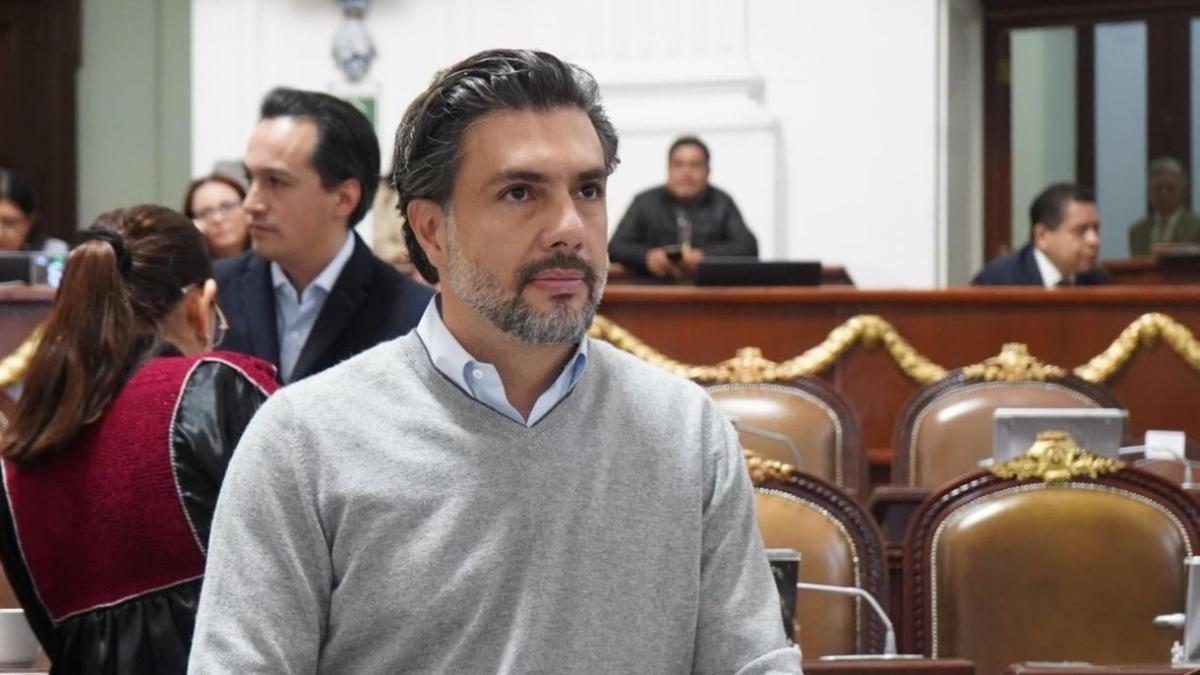 <![CDATA[Partido Verde propone prohibir venta de perros y gatos por plataformas digitales en CDMX]]>